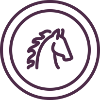 Stables are available nearby