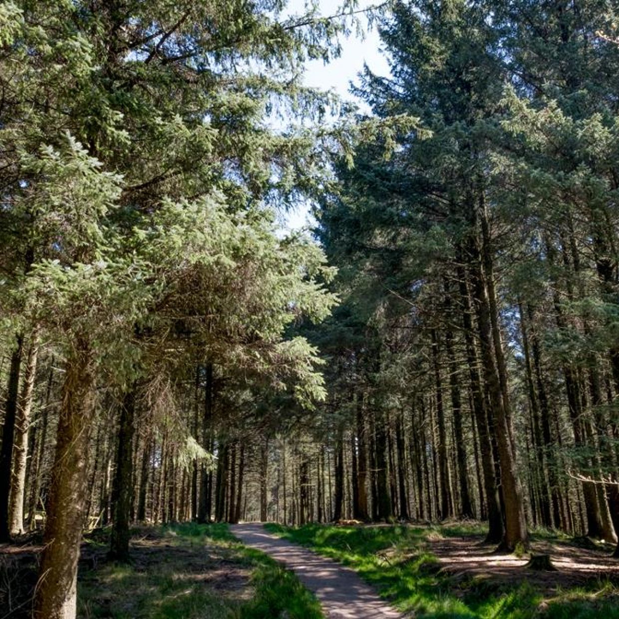 Beacon Fell