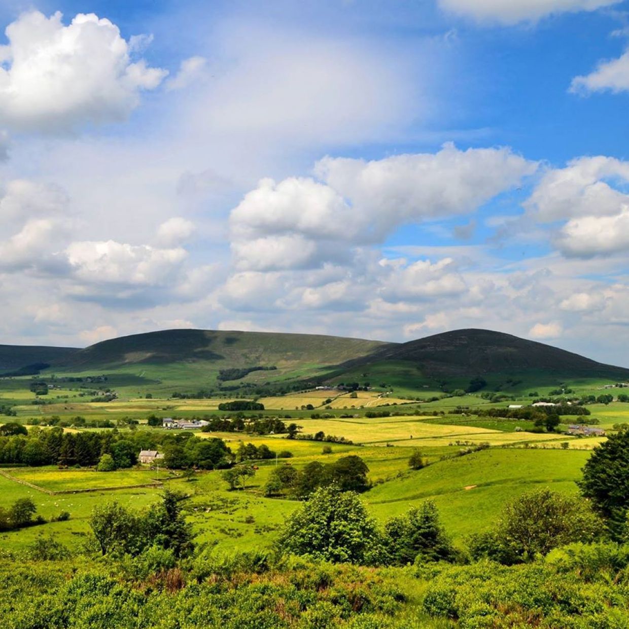 The Forest of Bowland
